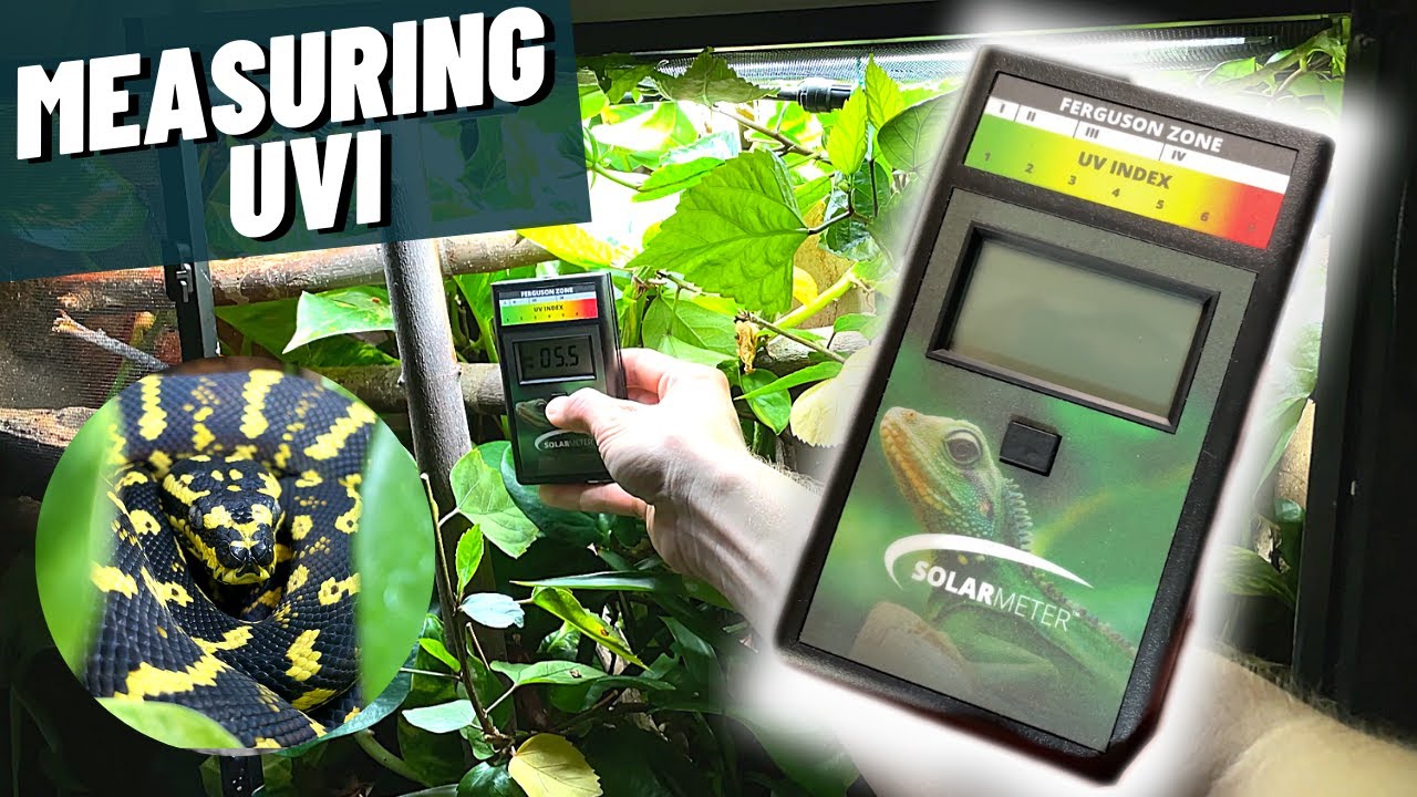 UVB測定器 デジタルUVラジオメーター ZooMed 紫外線測定器 販売 通販