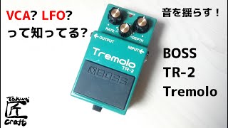 BOSS TR-2 Tremolo Review - YouTube