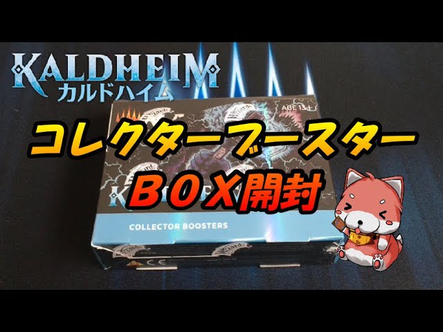 1 未開封 MTG カルドハイム セットブースター 44-MY0212-01 【公式通販】