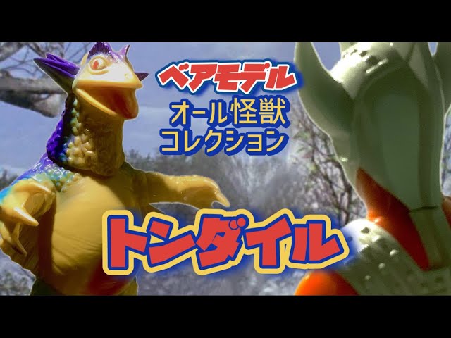 ベアモデルの旅③】限定販売❗️トンダイル - YouTube