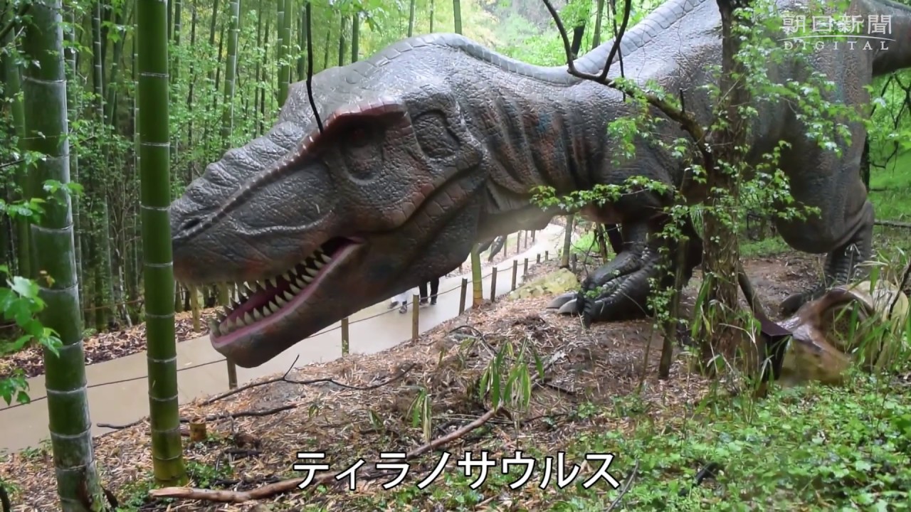 maxresdefault.jpg?sqp=-