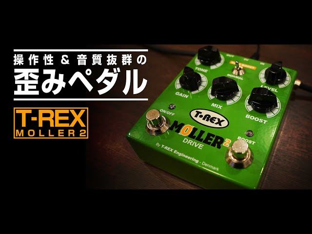 Exploring the Exquisite Distortion of T-REX's Premium Distortion