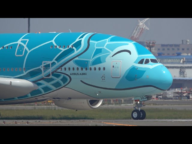 エアバス A380 ANA JA382A FLYING HONU Amazon.co.jp: JC Wings ANA