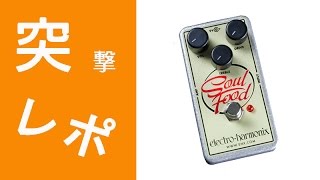1分でわかるELECTRO-HARMONIX SOUL FOOD - YouTube