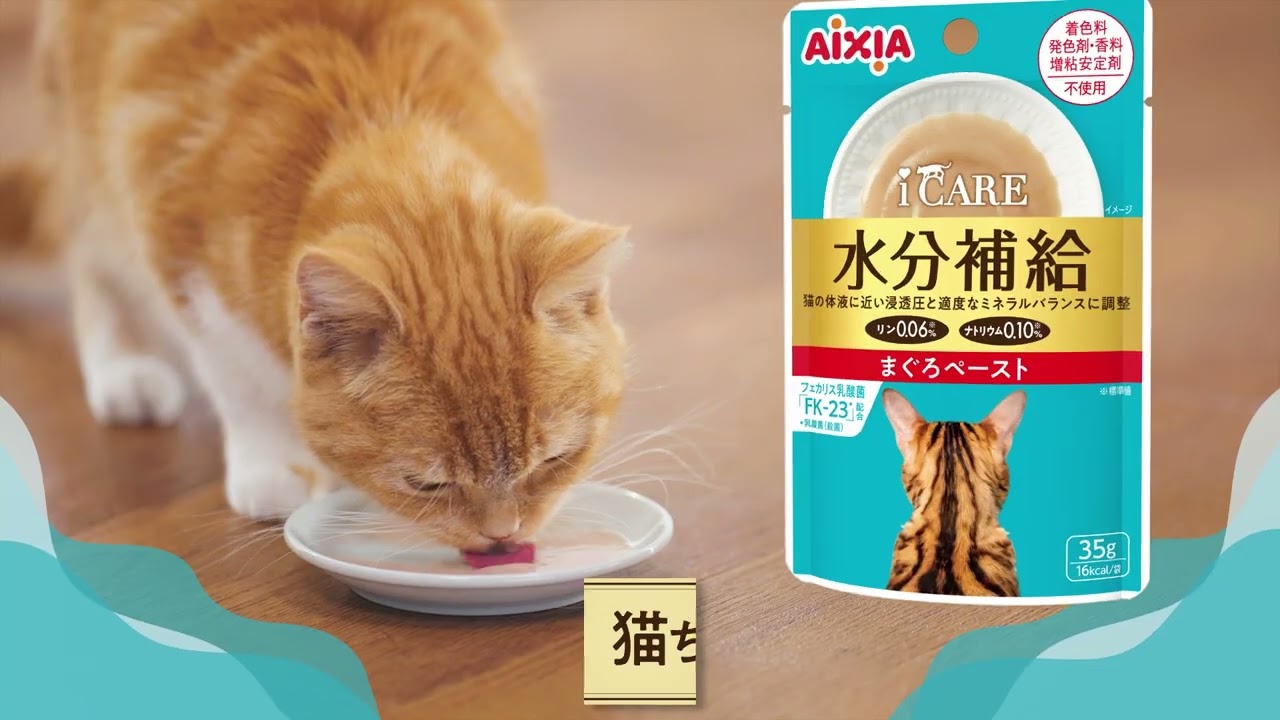 ヨドバシ.com - アイシア AIXIA i CARE 腎臓ケア まぐろペースト [猫用