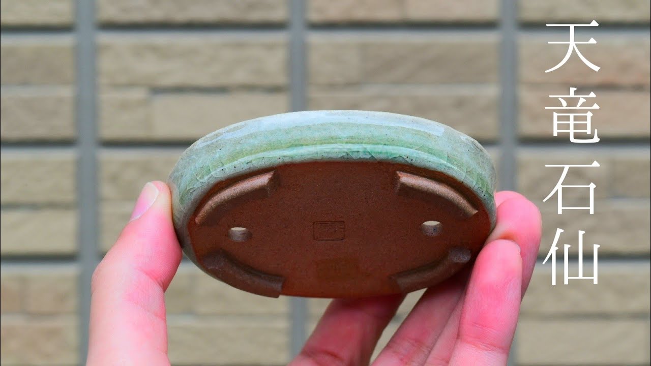 盆栽鉢紹介！天竜峡 天竜石仙鉢 Tenryu Sekisen Bonsaipot - YouTube