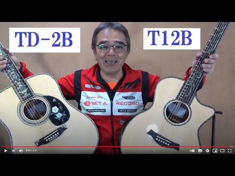 37】Toyaギター メインモデル TD-2B T12B オール単板モデル