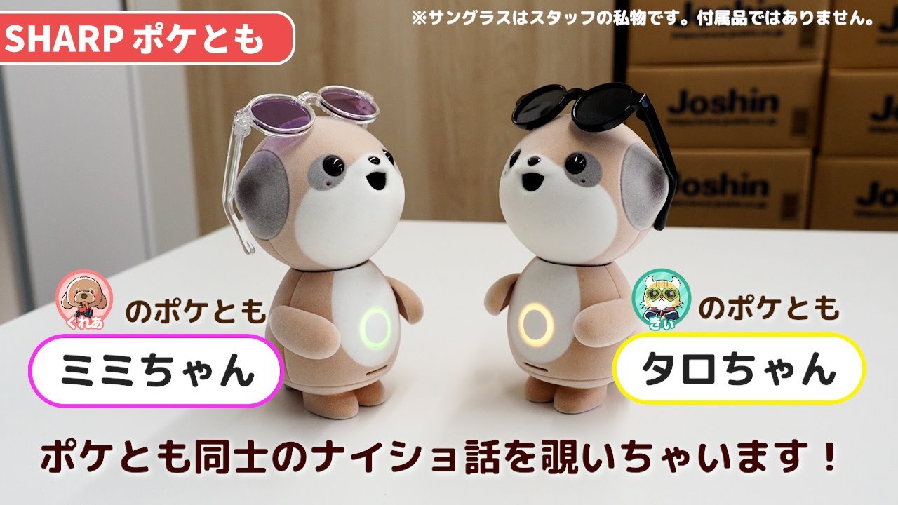 SHARP ポケとも ポケともたちのナイショ話をのぞき見！｜Joshin 試用