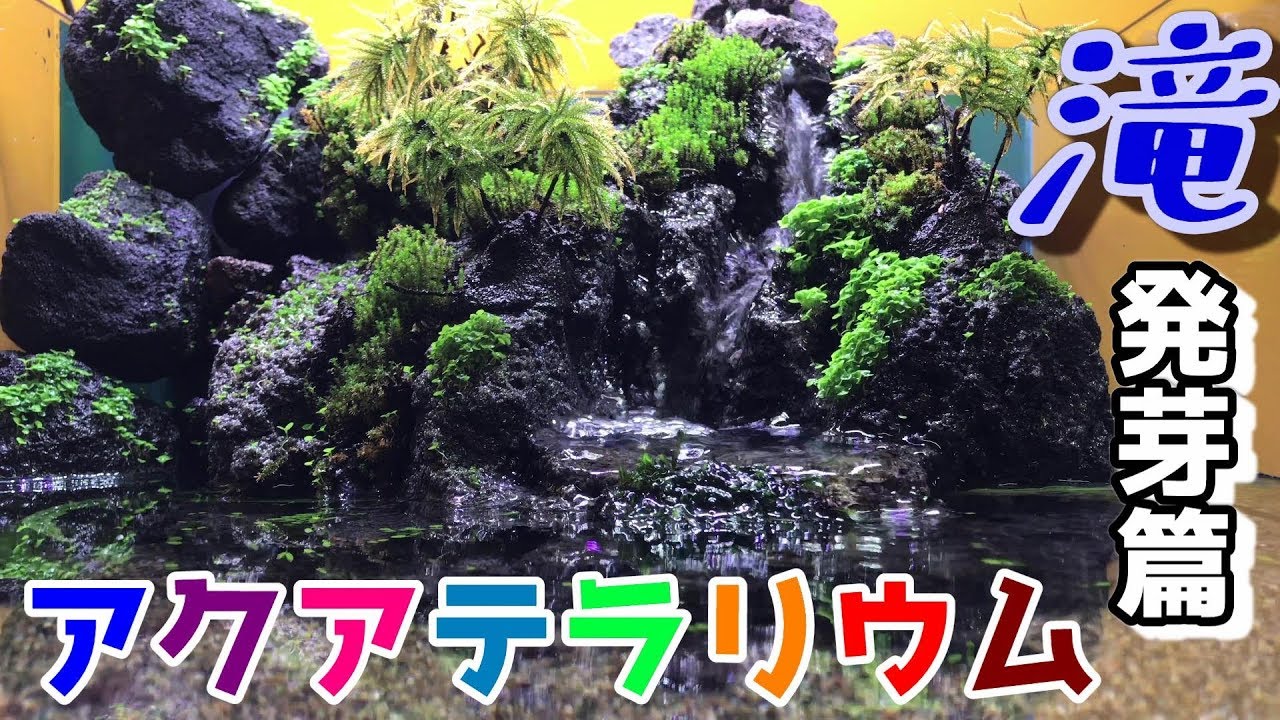アクアテラリウム 滝 完成品 GEX 赤溶岩石レイアウト アクアテラリウム