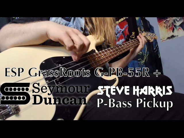 ハ*キ様 GlassRoots Seymour Duncan ロックペグ 搭載 ハ*キ様