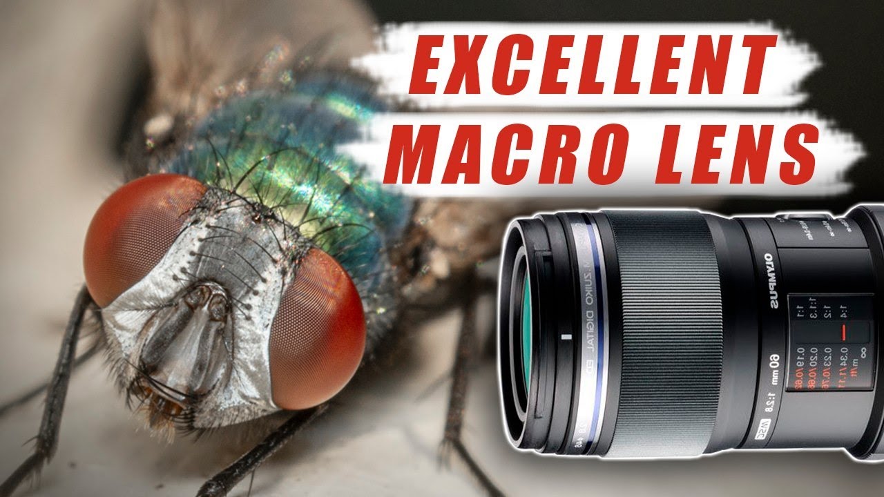 Olympus M. Zuiko Digital ED 60mm f2.8 Macro - Red35 Review - YouTube