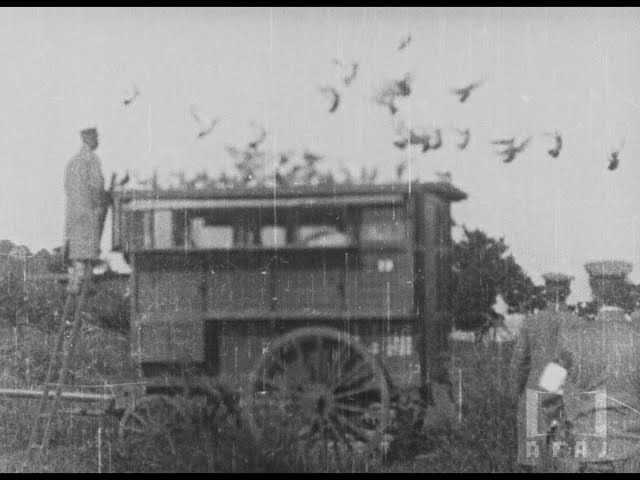 大日本帝国陸軍 【陸軍特別大演習 観兵式集合写真】 陸軍特別大