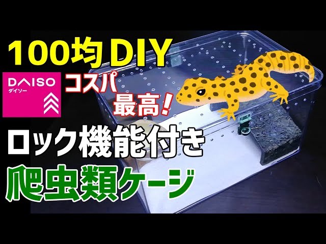 爬虫類ケージ自作】コスパ最高！《フタがロック出来るケージ》の作り方