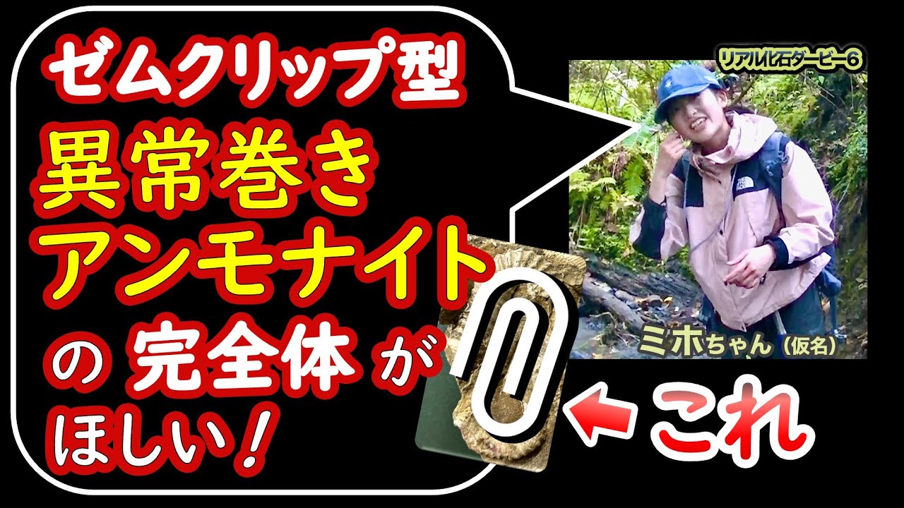 解説】K-Pg境界層探訪：コロラド・ニュージーランド・北海道〜恐竜絶滅