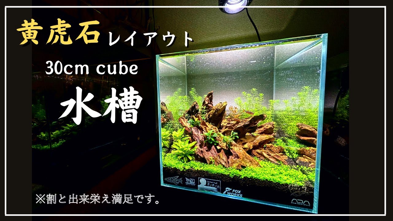 1[特大]ADA 黄虎石 約3.7キロ☆水槽 レイアウト アクアリウム 気孔石