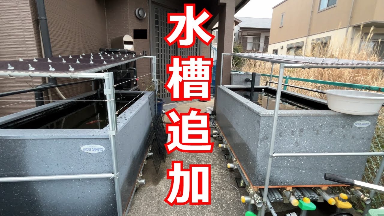 黒いFRP水槽用容器 中 黒いFRP水槽用容器 中