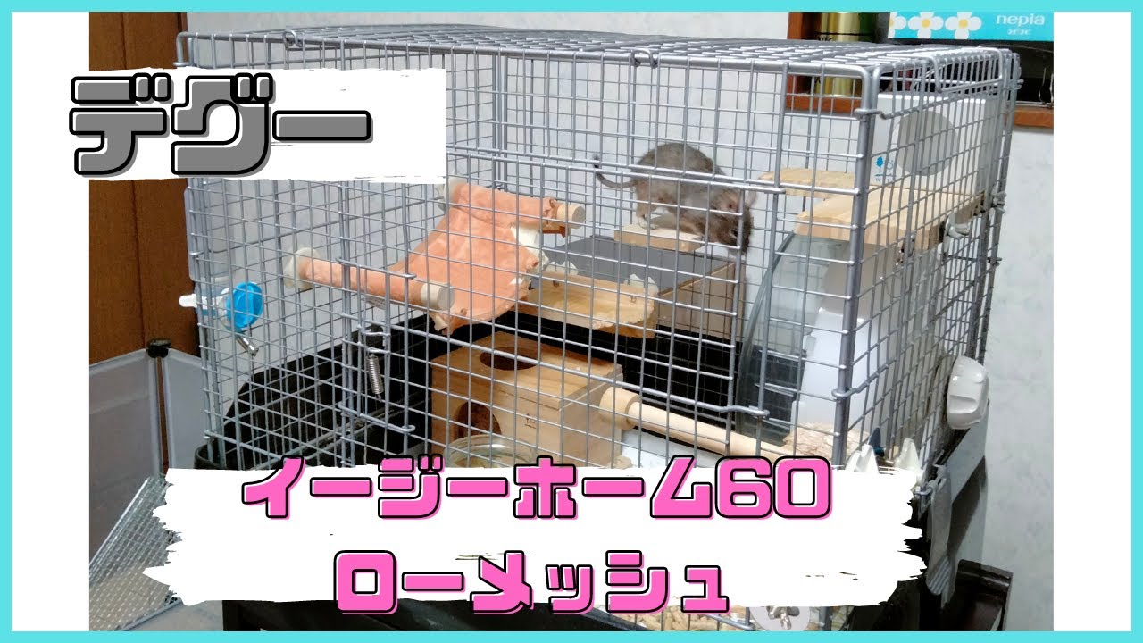 中古美品 イージーホーム60ローメッシュ ブラック イージーホーム60