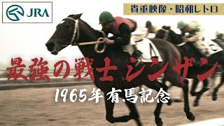 1977年有馬記念写真パネル 1977年有馬記念写真パネル 1977年有馬記念