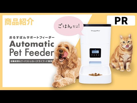 PR商品紹介】🐶😸ドギーマン おるすばんサポートフィーダー - YouTube