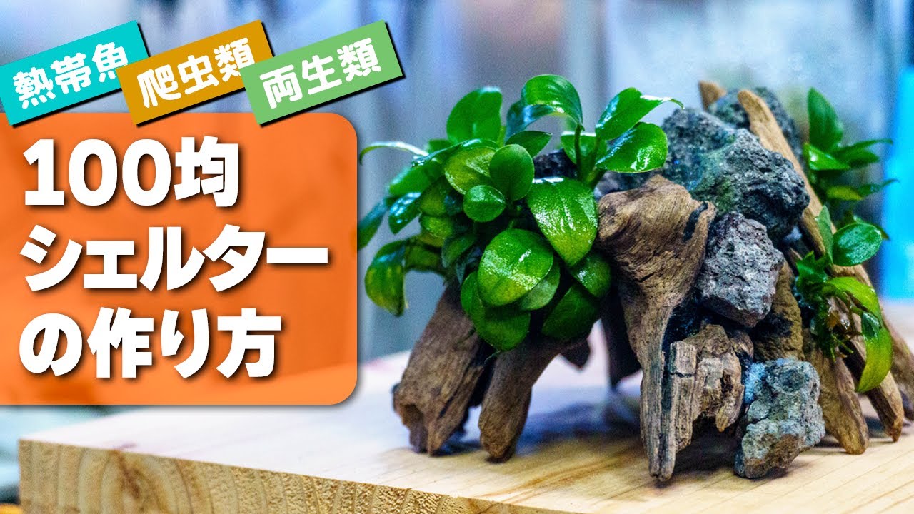 A shelter made from 100 yen! A homemade shelter and filter cover