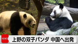 Fans rush to say goodbye to Japan's panda 