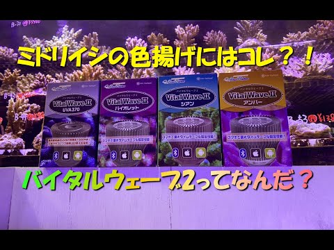 第57海 バイタルウェーブ2が発売になりました！ - YouTube