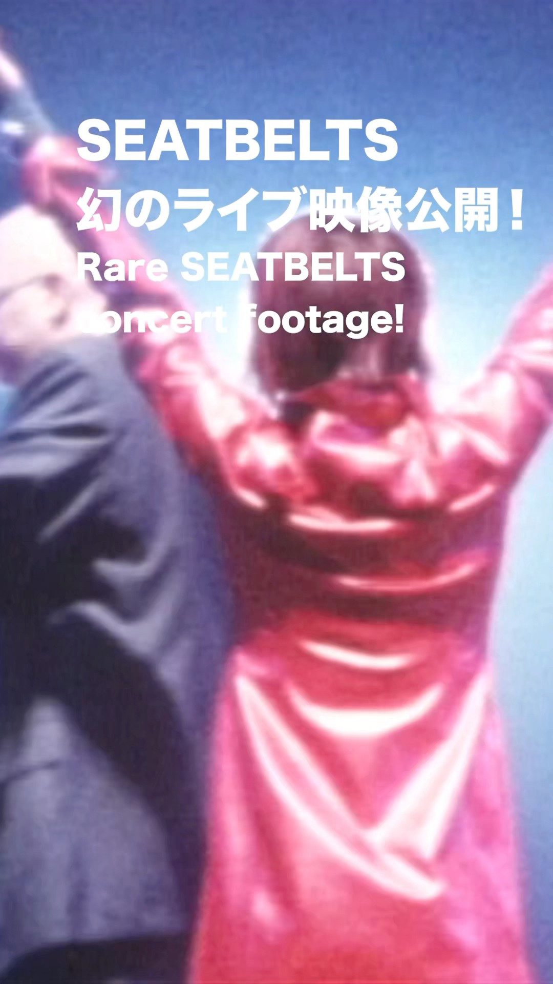 菅野よう子 シートベルツ ライブ SEATBELTS パンフレット ステッカー