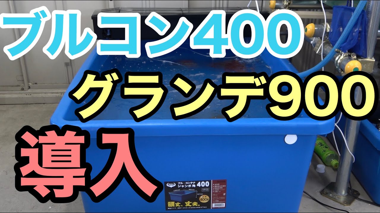 I installed the Bullcon 400 and top filter Grande 900 in my