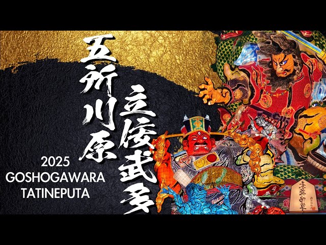 立佞武多 ねぶた 貴重品 入手困難 立佞武多 ねぶた 貴重品 入手困難