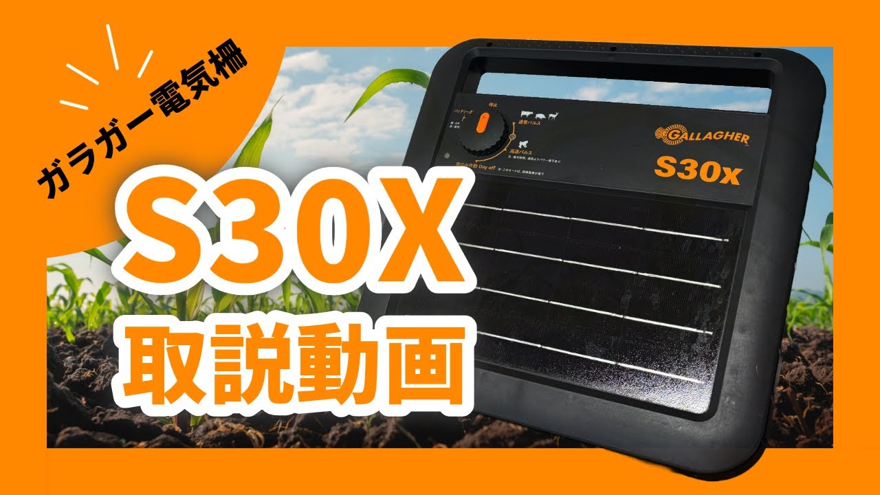 薄暗い裏通りボーダーレスFoil2枚セット 薄暗い裏通りボーダーレス