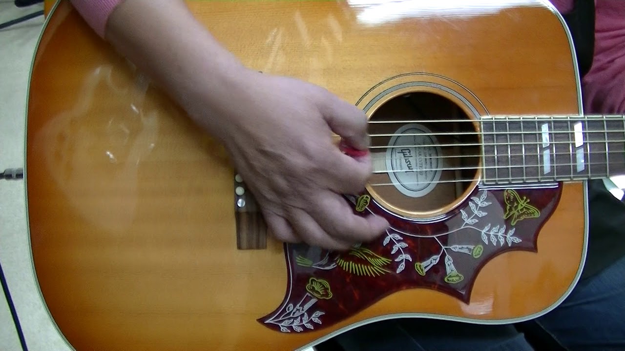 り*ぅ様 Gibson ハミングバード 2014年製 り*ぅ様 Gibson ハミング