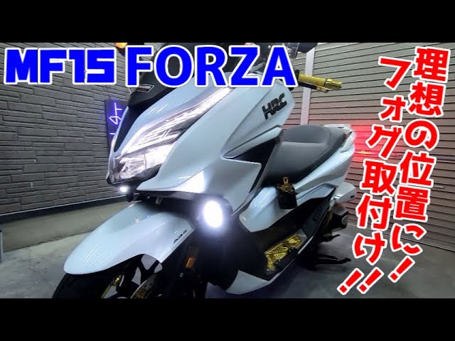 フォルツァMF15 PIAAフォグライト
