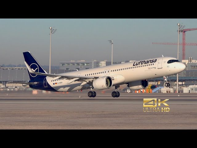 航空機・ヘリコプター LH A321 Aircrafttag Lufthansa 航空機