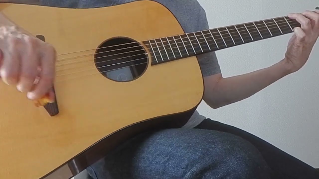 なんじゃこりゃギター⑥ baden D-style Rosewood ベーデン - YouTube