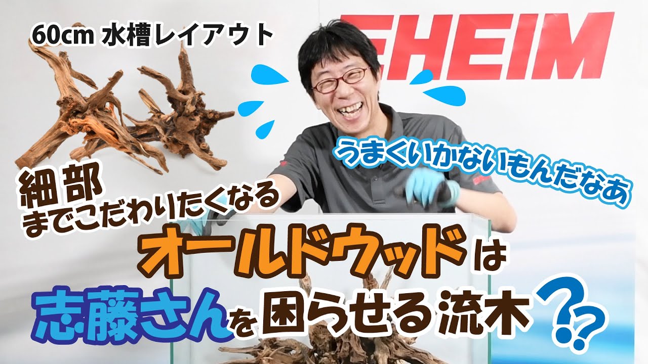 流木レイアウト 2点セット A853 流木レイアウト 2点セット A853