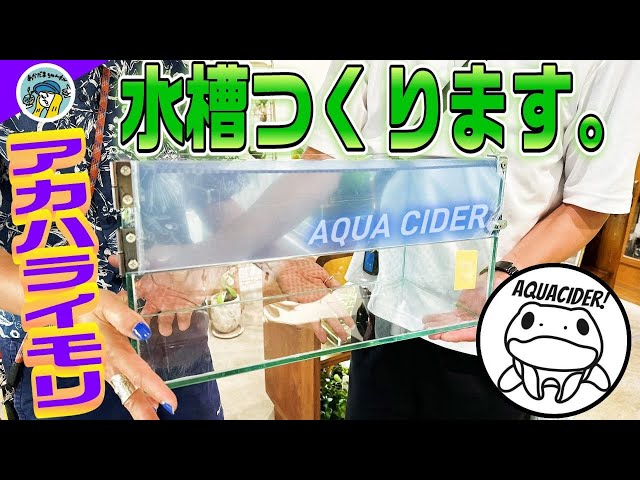 アクアサイダーのイモリウム水槽 サイズ45cm 45×45×45 アカハライモリ