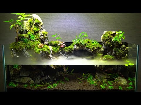 ️⭕️本日限定sale️⭕️アクアテラリウム 完成品 滝 ガラス水槽