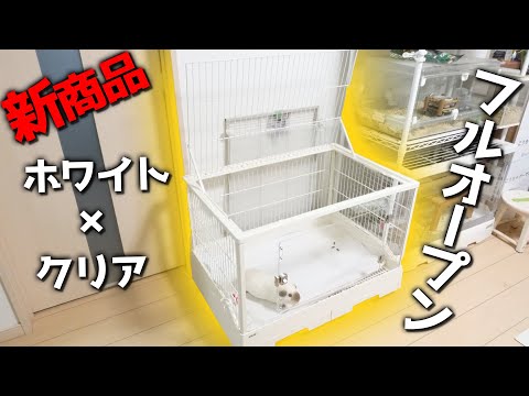 新発売！うさぎ用ケージ「GEXクリアフロント80」をモルモット用で