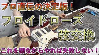 新品弦張替済】Ibanez エレキギター RG フロイドローズ/トラ杢 新品弦張