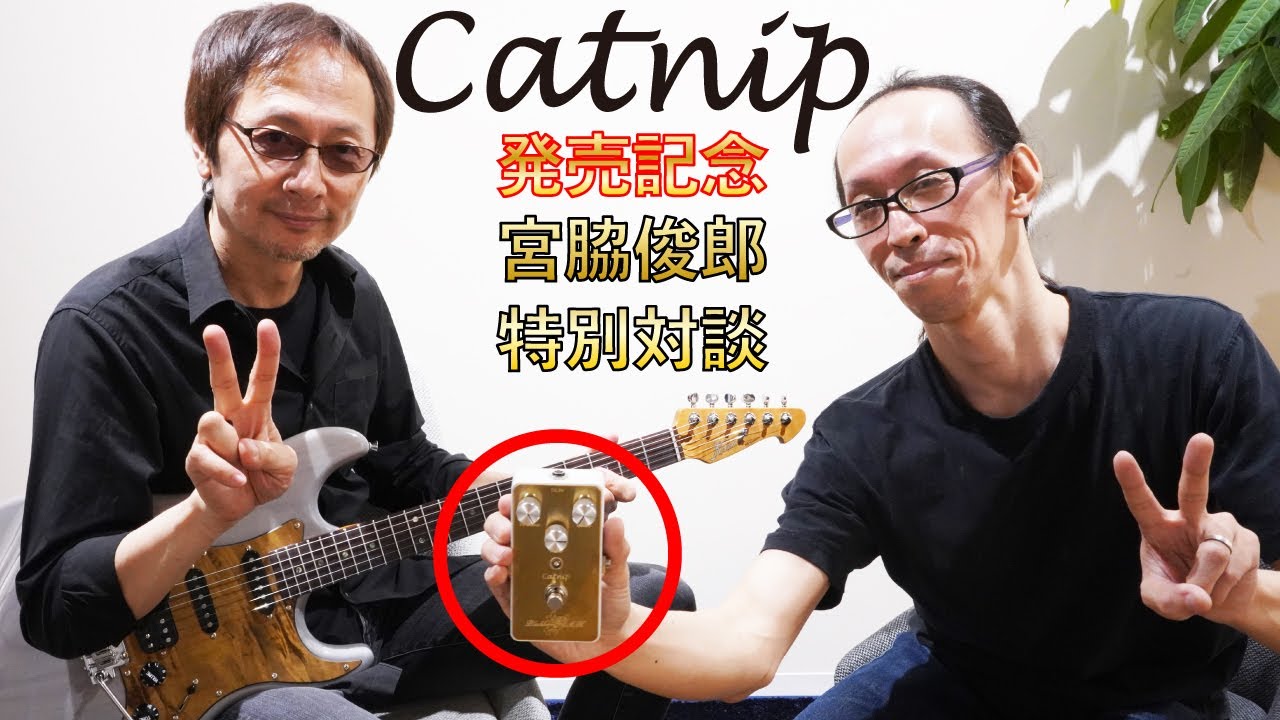 ギター BlackberryJAM Blackcurrant ギター BlackberryJAM