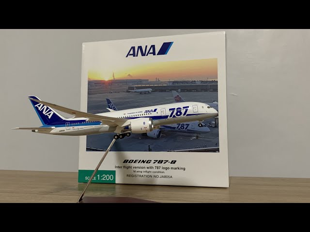 模型開箱】全日空ANA B787-8 Dreamliner 787 LOGO｜JA805A｜Hogan 1