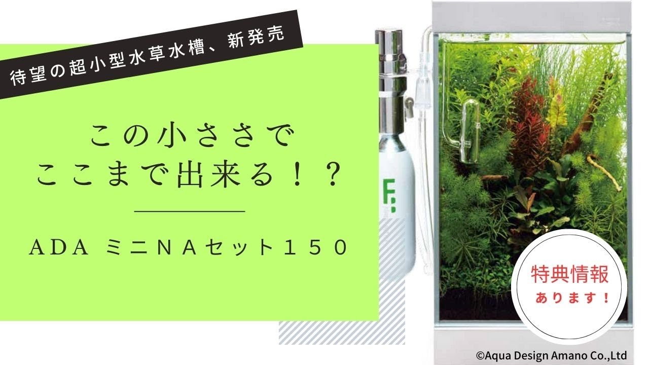 ADA 水草育成用キット 【公式通販】