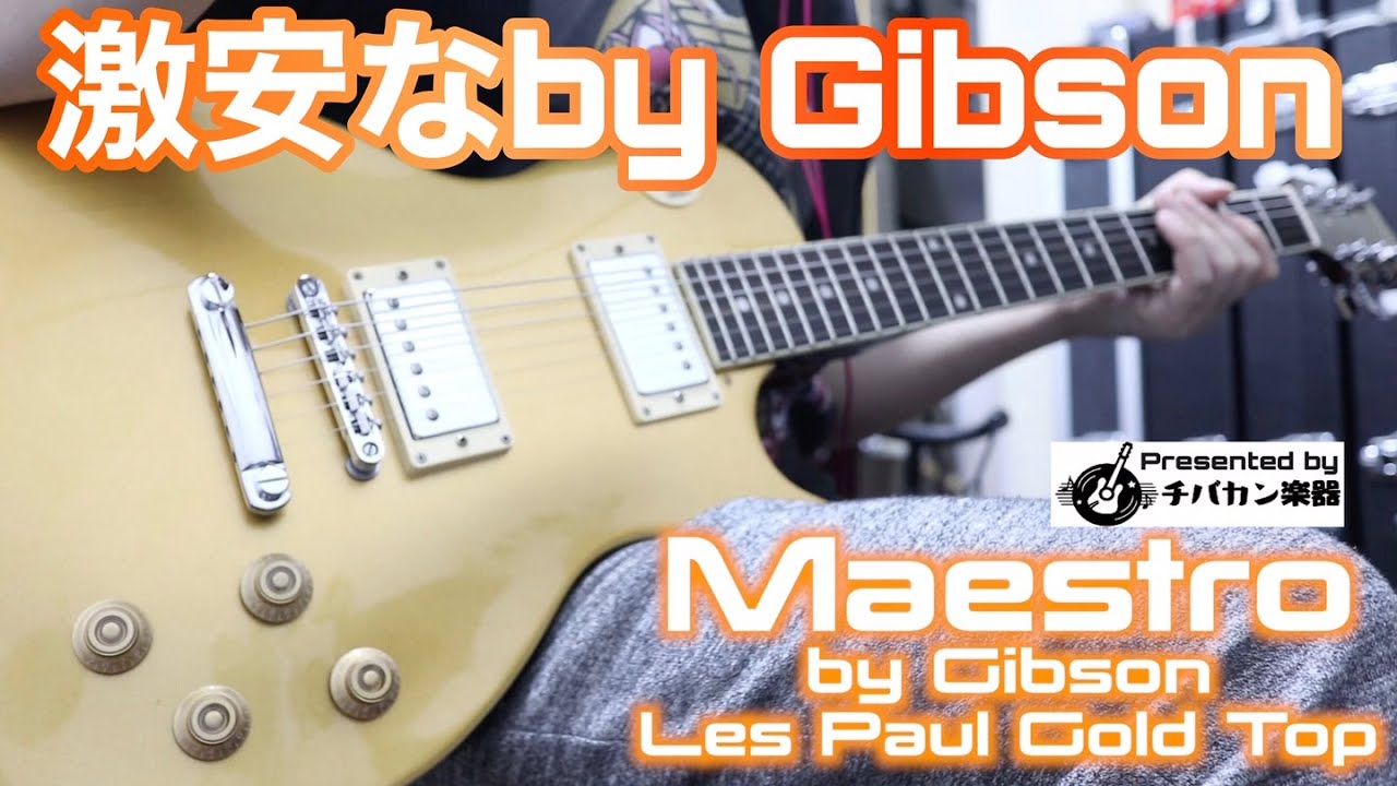 Maestro by Gibsonなのに超安いレスポール🎸Gold Topが渋い！Presented