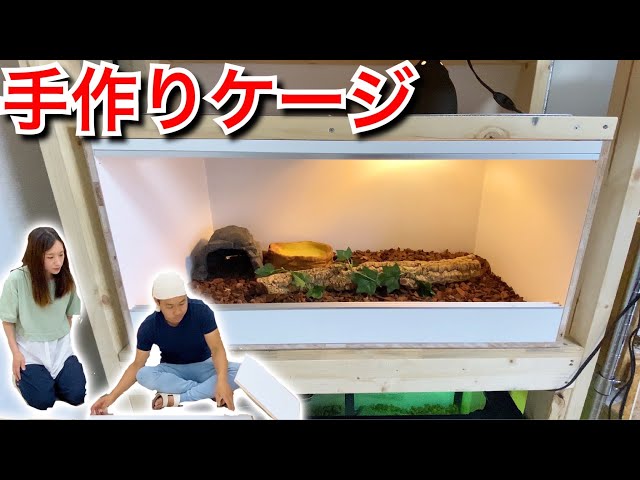 Super cheap and easy?! How to make a stylish reptile cage - YouTube