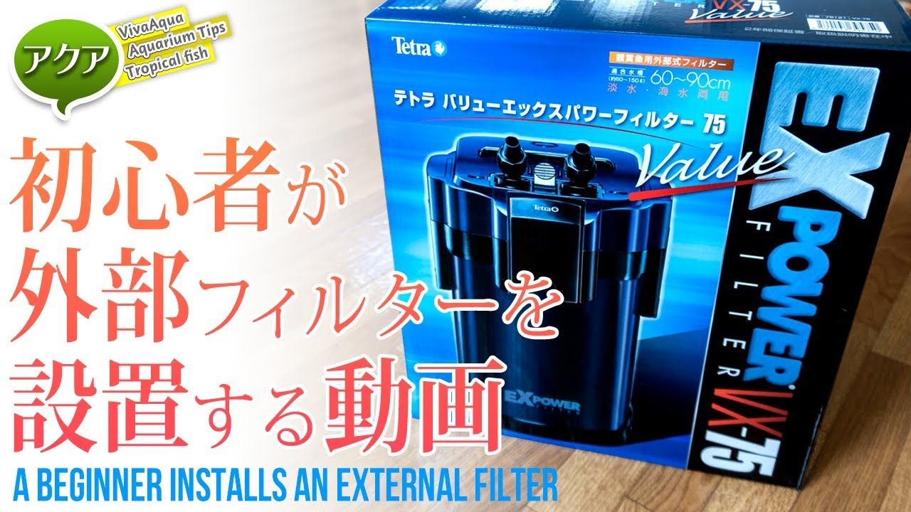 Aquarium A video of a beginner installing an external filter Tetra
