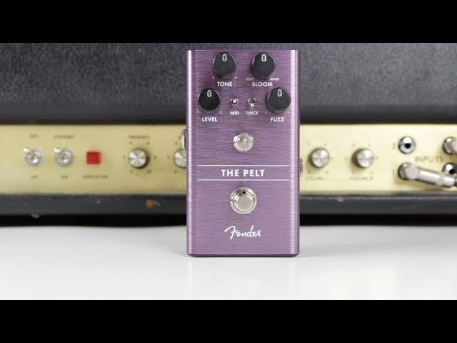 Fender The Pelt Fuzz - YouTube