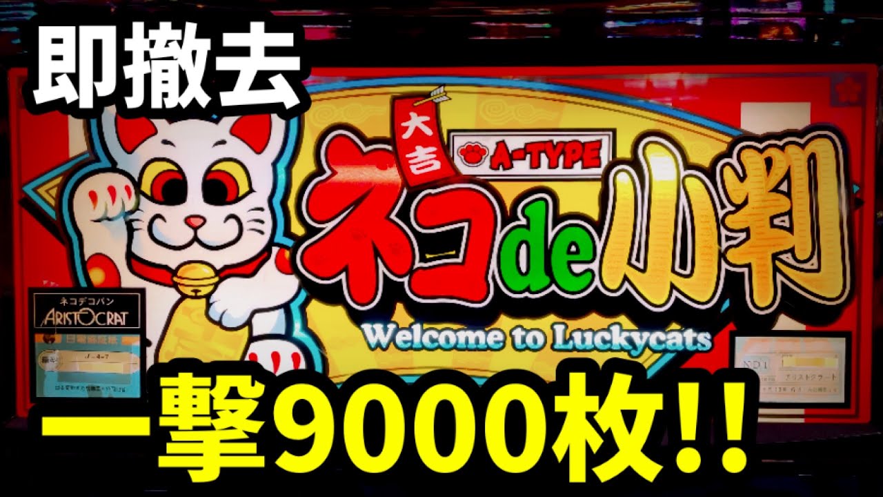 ネコde小判】開始1Gから攻略法で1/819000直撃!?一撃9000枚フラグ搭載の