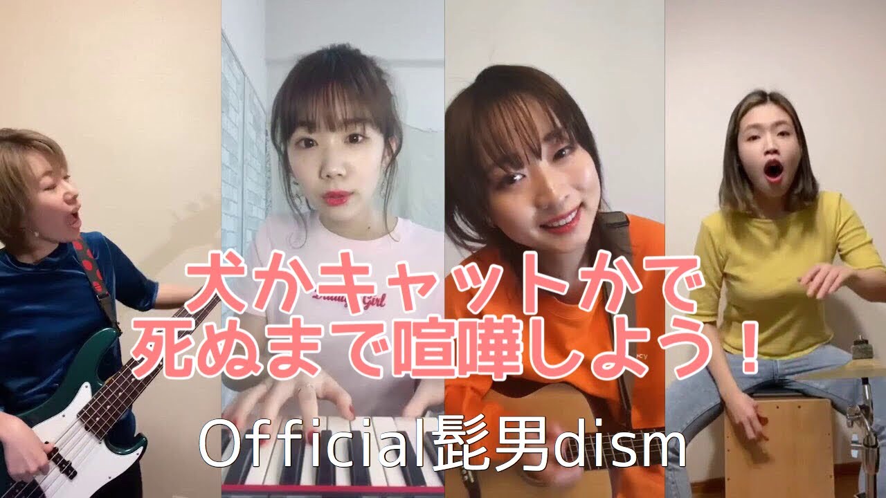 犬かキャットかで死ぬまで喧嘩しよう！/Official髭男dism(cover) - YouTube