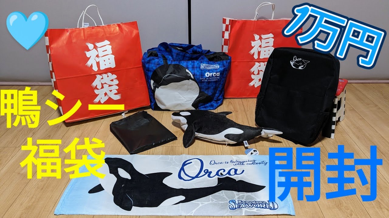 鴨川シーワールド福袋開封🌟1万円の福袋を購入しちゃいました🌺鴨川