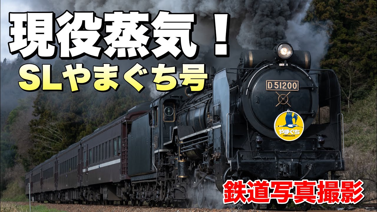 蒸気機関車の橋の写真 D51形重連 1971.￼ 4.￼ 20 蒸気機関車の橋の